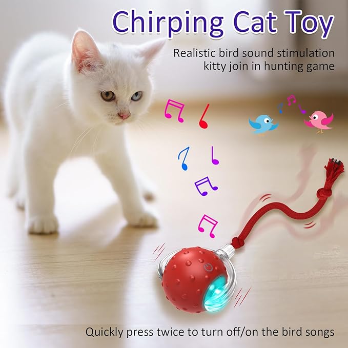 Giociv Interactive Cat Toys Ball
