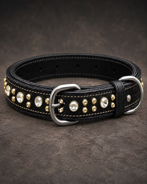 Premium Studded Leather Dog Collar
