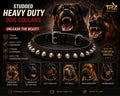 Premium Studded Leather Dog Collar