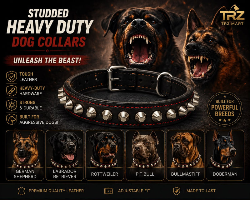 Premium Studded Leather Dog Collar