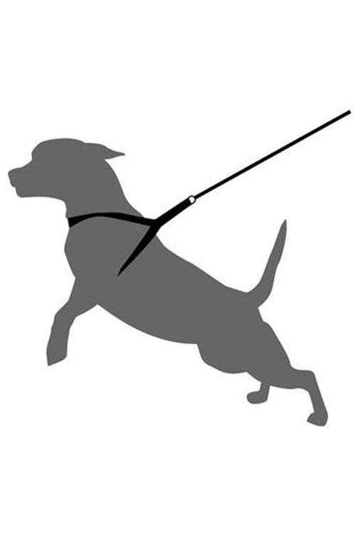 Dog Harness vest strap with leash