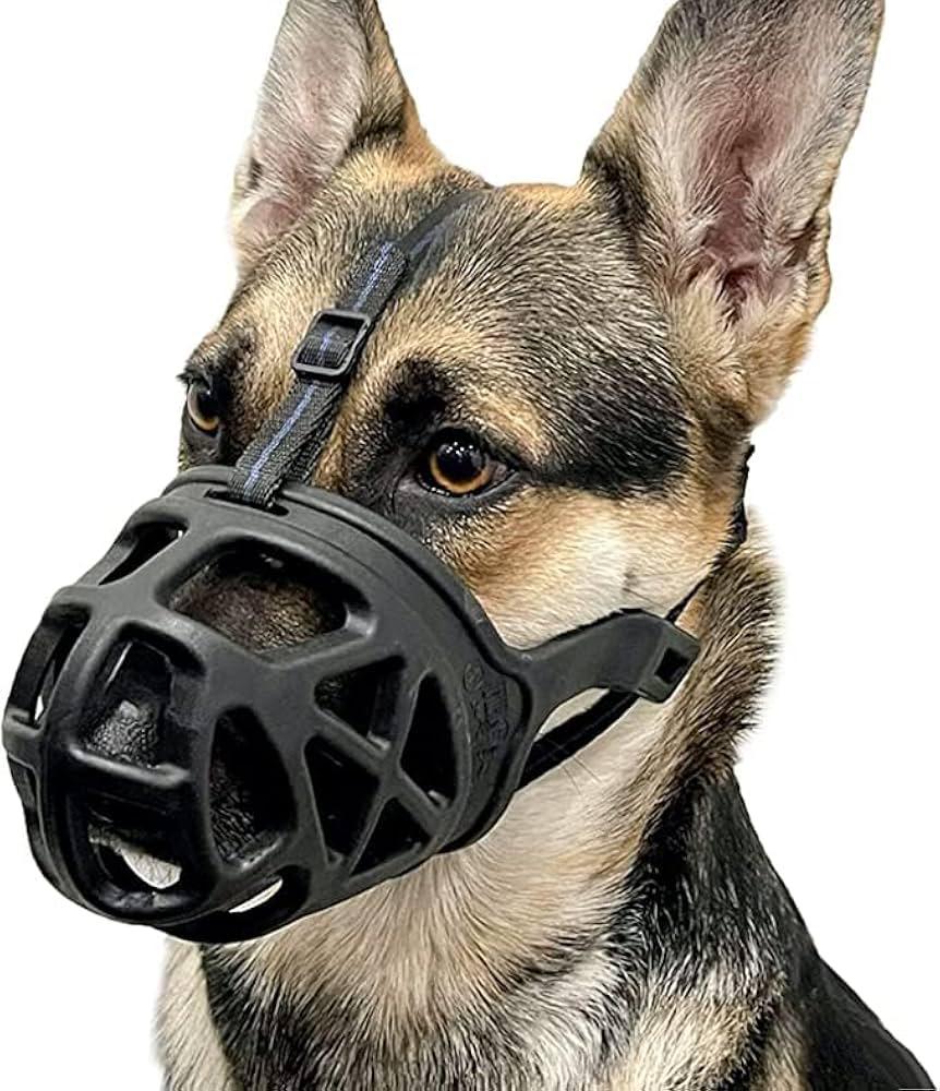 Muzzle For Dogs - Imported