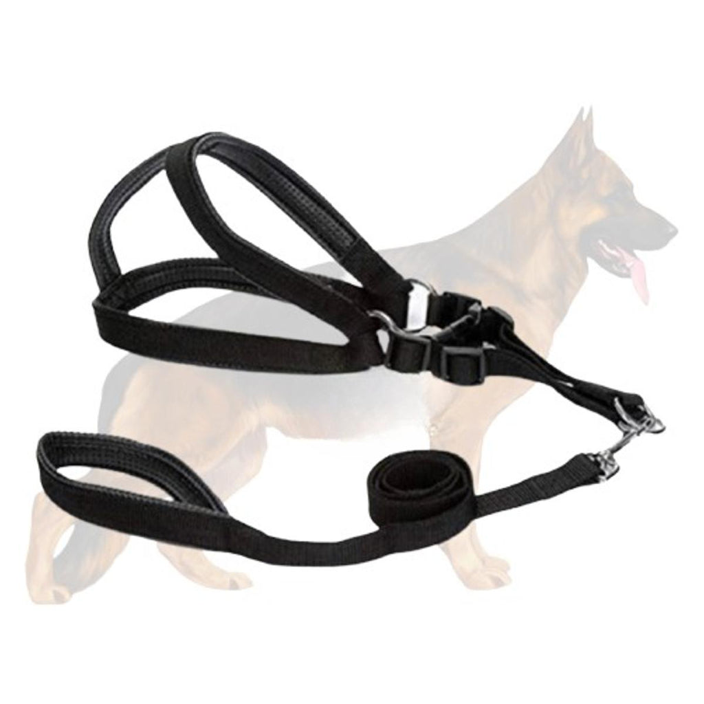 Dog Harness vest strap with leash