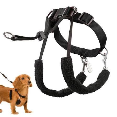 Dog Harness vest strap with leash